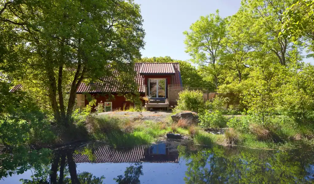 Mikael Hedman swedish buddha meditation retreat